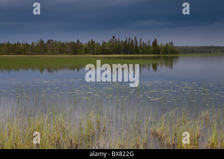 Tempête à Jerisjärvi lac, Parc National de Pallas-Yllästunturi, Laponie, Finlande Banque D'Images