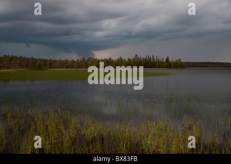 Tempête à Jerisjärvi lac, Parc National de Pallas-Yllästunturi, Laponie, Finlande Banque D'Images