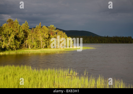 Tempête à Jerisjärvi lac, Parc National de Pallas-Yllästunturi, Laponie, Finlande Banque D'Images