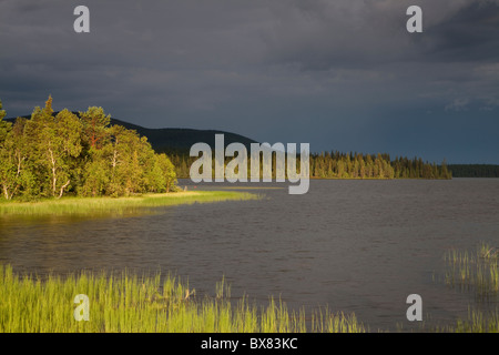 Tempête à Jerisjärvi lac, Parc National de Pallas-Yllästunturi, Laponie, Finlande Banque D'Images