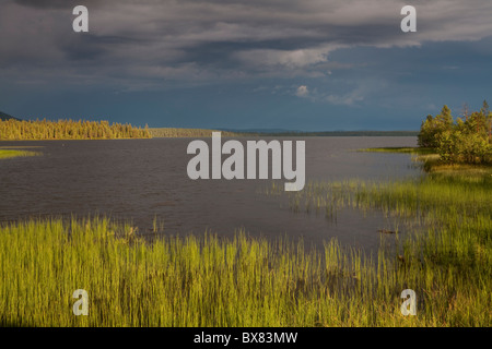 Tempête à Jerisjärvi lac, Parc National de Pallas-Yllästunturi, Laponie, Finlande Banque D'Images