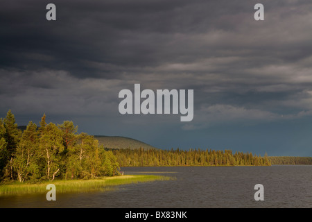 Tempête à Jerisjärvi lac, Parc National de Pallas-Yllästunturi, Laponie, Finlande Banque D'Images