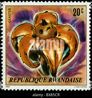 Numérisation haute résolution de vieux timbres en provenance du Rwanda sur fond noir. Banque D'Images