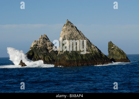 À propos de Shag, 130 milles à l'ouest de la Géorgie du Sud dans l'océan Atlantique sud, avec les cormorans mouchetés nichent dans top Banque D'Images