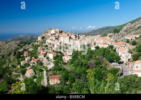 Hilltop village Speloncato, Balagne, Corse, France Banque D'Images