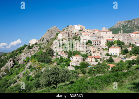 Hilltop village Speloncato, Balagne, Corse, France Banque D'Images