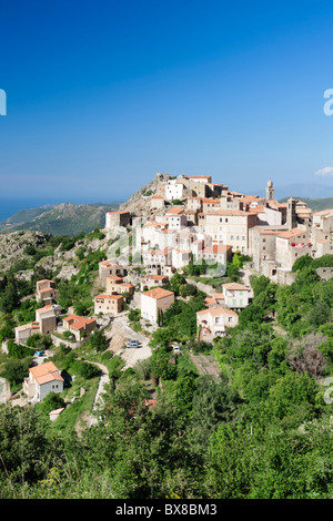 Hilltop village Speloncato, Balagne, Corse, France Banque D'Images