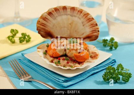 Les pétoncles pate dans sa coquille. Recette disponible. Banque D'Images