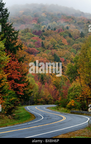 La brume et la couleur en automne sur la Route 100 dans le comté de Windham, New York Banque D'Images