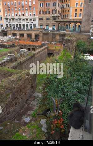 Chat noir à la place Largo di Torre Argentina Rome Italie Europe Banque D'Images