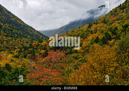 La couleur en automne à Crawford Notch dans les White Mountains National Forest dans Carroll County, New Hampshire Banque D'Images