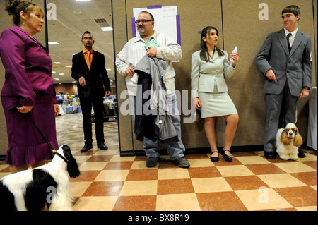 Les chiens et leurs propriétaires attendent leur tour pour participer au cours de l'ASC Épagneul Rinçage spectacle au Centre des Congrès Valley Forge dans Banque D'Images