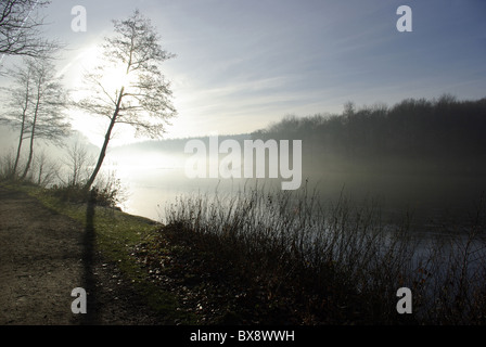 Newmillerdam près de Wakefield, West Yorkshire, UK, comme le soleil se lève sur un matin d'hivers froids. Banque D'Images