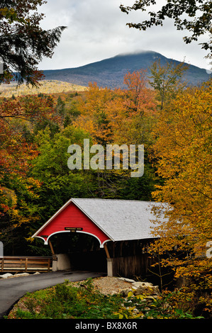 Gorge Flume Pont couvert et la couleur en automne dans la région de Franconia Notch State Park dans le comté de Grafton, New Hampshire Banque D'Images