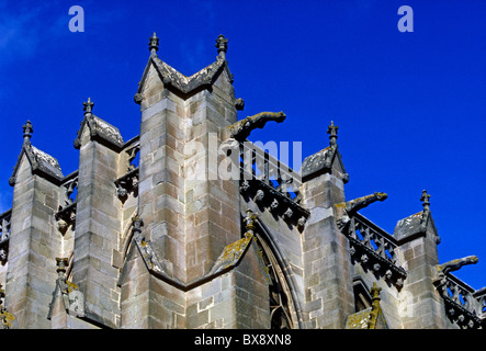 Gargoyle Saint Nazaire et Saint Celse Basilique La Cite Carcassonne Languedoc-Roussillon France Europe Banque D'Images