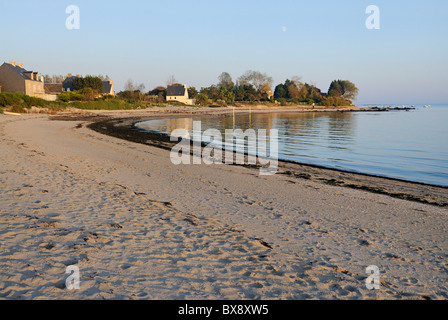 Pointe de Saire, péninsule du Cotentin, Saint-Vaast-la-Hougue région, Manche, France Banque D'Images