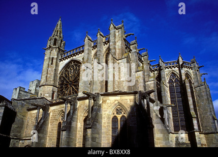 Saint Nazaire et Saint Celse Basilique La Cite de Carcassonne Languedoc-Roussillon France Europe Banque D'Images