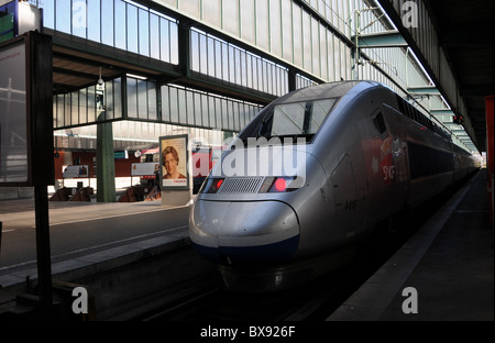 TGV à la gare principale de Stuttgart Banque D'Images