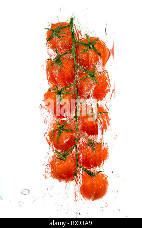 Branche de tomates dans les projections d'eau Banque D'Images