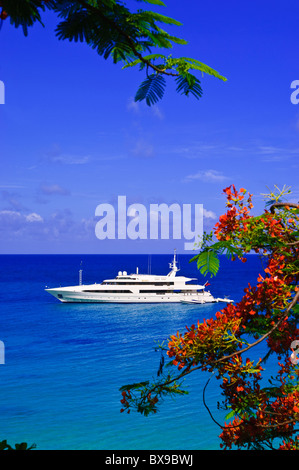 Yacht de luxe au large Baie Longue Long Bay Beach St Maarten, St Martin Caraïbes Banque D'Images