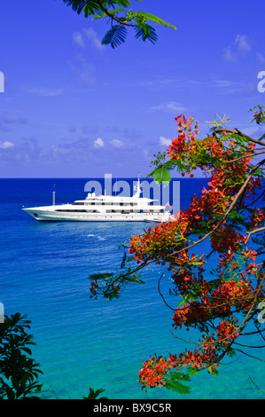 Yacht de luxe au large Baie Longue Long Bay Beach St Maarten, St Martin Caraïbes Banque D'Images