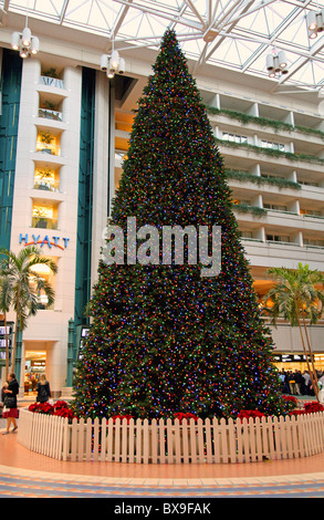 Arbre de Noël dans l'Aéroport International d'Orlando, AGC Atrium de l'hôtel vu que les visiteurs quitter la sécurité et entrez d'Orlando. Banque D'Images