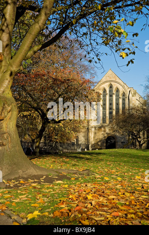 Bibliothèque Minster en automne Deans Park York North Yorkshire England UK Royaume-Uni GB Grande Bretagne Banque D'Images