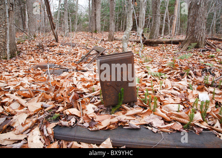 SWIFT River Railroad - objets d'art à Hartleys camps qui était un camp d'exploitation forestière situé dans la vallée du ruisseau Oliverian d'Albany, New Hampshire Banque D'Images