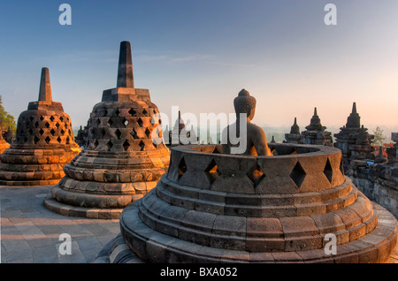 L'aube à la splendide stupas et Bouddhas de Borobudur, le plus grand complexe au monde buddist - Java - Indonésie Banque D'Images