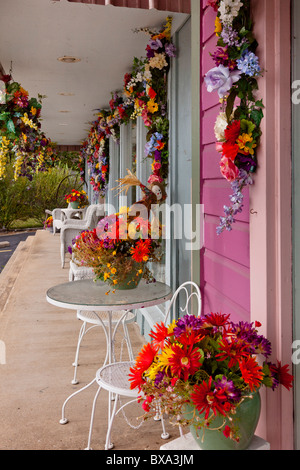 Boutiques et magasins dans Branson, Missouri, USA, Amérique Latine Banque D'Images