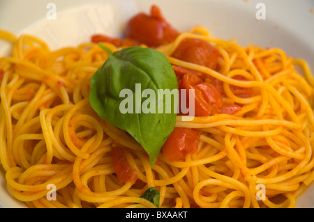 Spaghetti al pomodoro avec le basilic centro storico Rome Italie Europe Banque D'Images