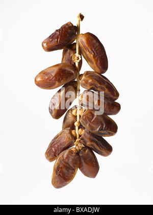 Medjool dates hanging on branche sur fond blanc Banque D'Images