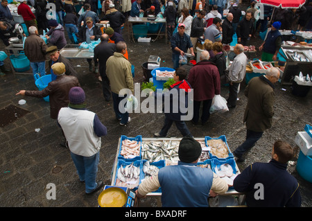 La Pescheria le marché des fruits de mer centre de Catane Sicile Italie Europe Banque D'Images