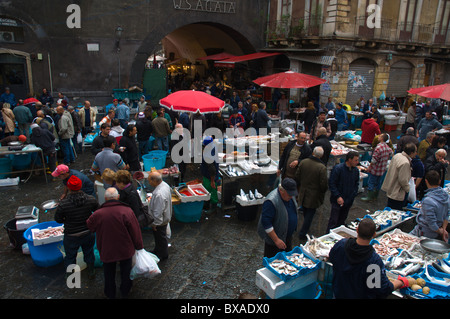 La Pescheria le marché des fruits de mer centre de Catane Sicile Italie Europe Banque D'Images