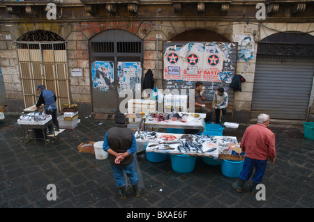 La Pescheria étals de poissons le marché des fruits de mer centre de Catane Sicile Italie Europe Banque D'Images