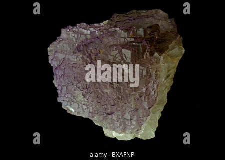 Fluorine (CaF2-fluorure de calcium) Fluorite (violet) est l'un des plus populaires parmi les collectionneurs de minéraux Banque D'Images