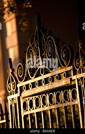 Porte en fer forgé détails travail à Charleston, SC. Banque D'Images