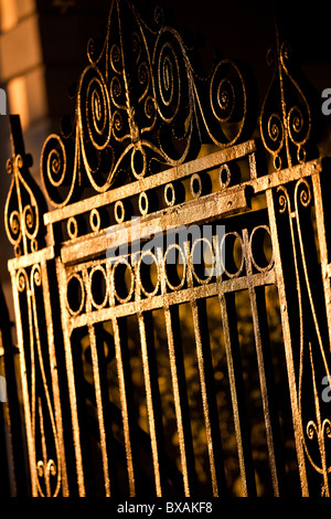 Porte en fer forgé détails travail à Charleston, SC. Banque D'Images