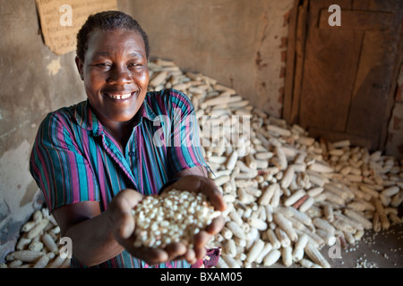 Une femme est titulaire d'une poignée de grains de maïs à Iganga, Ouganda, Afrique de l'Est Banque D'Images