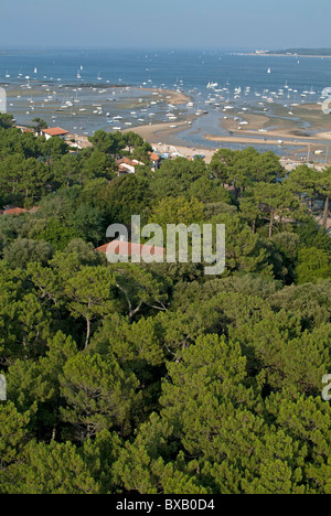 Bateaux amarrés à marée basse dans la baie d'Arcachon, Gironde, France. Banque D'Images