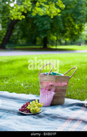 Panier et plaque avec raisins sur blanket in park Banque D'Images