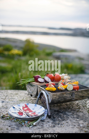 Les légumes sur la grille du barbecue Banque D'Images