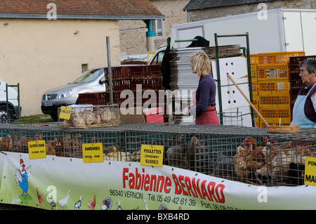 Stock photo de volailles destinées à la vente sur les étals du marché au marché de producteurs Les Herolles dans la région de la France. Banque D'Images