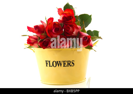 Bouquet de roses rouges dans la benne jaune isolated over white Banque D'Images