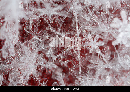 Flocons de neige, extreme close-up Banque D'Images