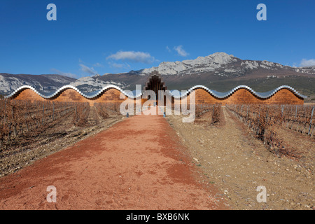 Vignoble Ysios, Laguardia, l'Alava, Espagne Banque D'Images