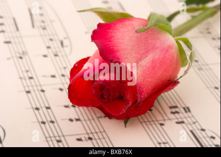 Rose rouge dans un paysage romantique sur feuille de musique Banque D'Images