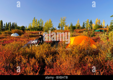 Camping sur le camping, de l'Alaska Wonderlake, Mt McKinley à l'arrière, le parc national Denali, Alaska Banque D'Images