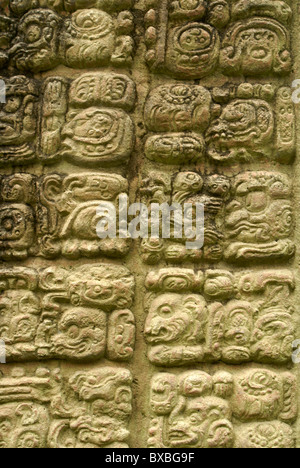 Les glyphes mayas sur une stèle au les ruines Maya de Copan, Honduras. Copan est un UNESCO World Heritage Site. Banque D'Images