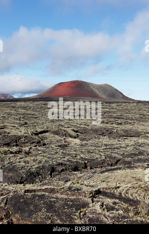 Volcan Caldera Colorada lave, avec les lichens, Lanzarote, Canary Islands, Spain, Europe Banque D'Images